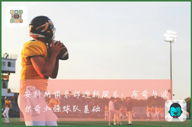 安科纳俱乐部迎新股东，布奇与波尔奇加强球队基础