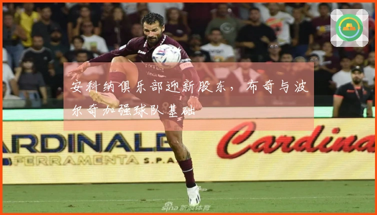 安科纳俱乐部迎新股东，布奇与波尔奇加强球队基础